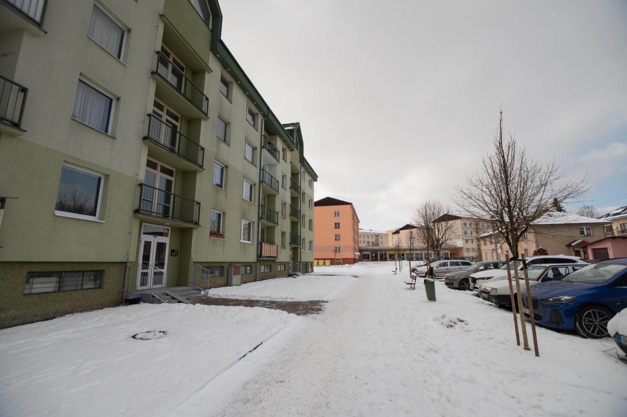 Apartman Radvanicka Apartman Radvanice  Kültér fotó